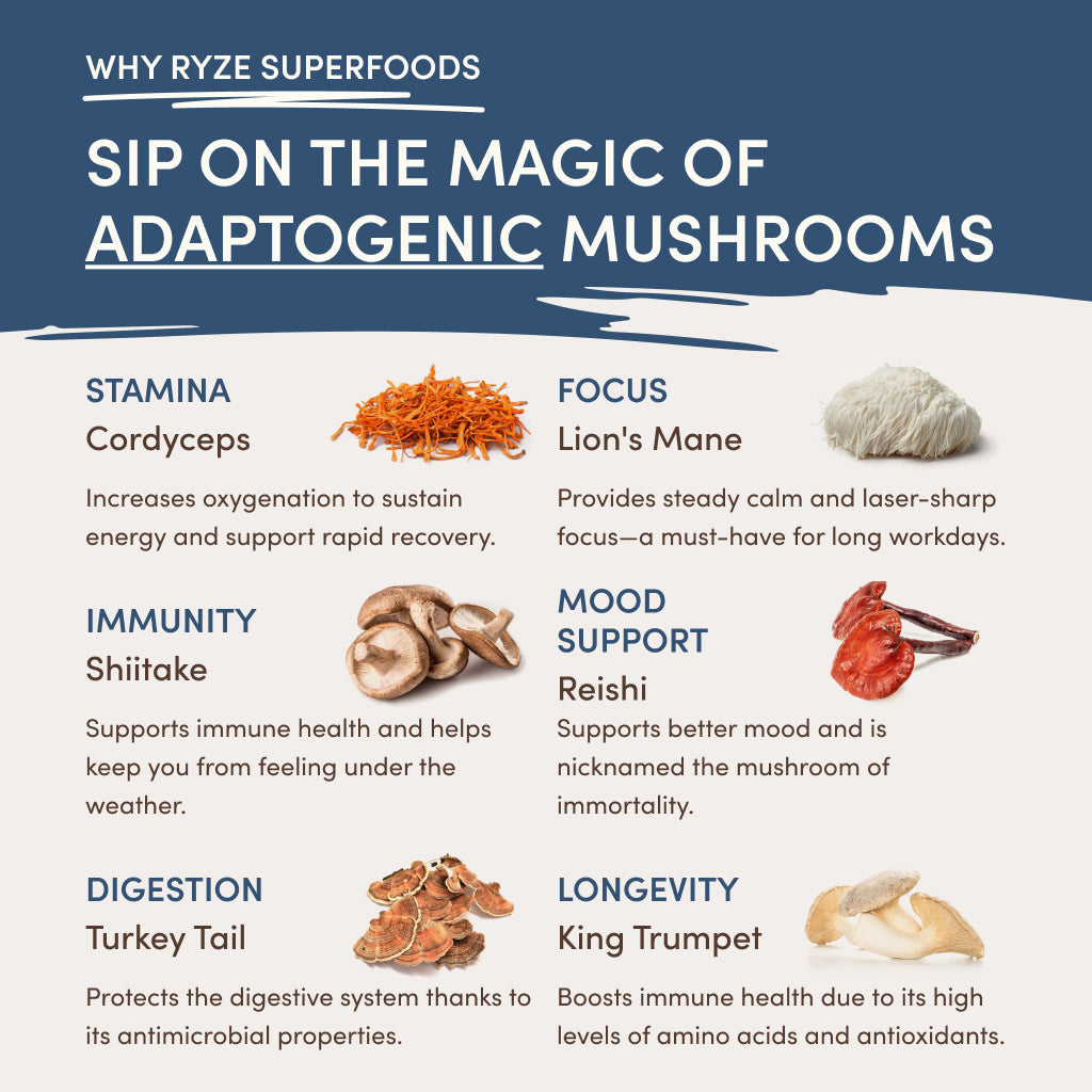 RYZE Nighttime Mushroom Cocoa Starter Bag D5