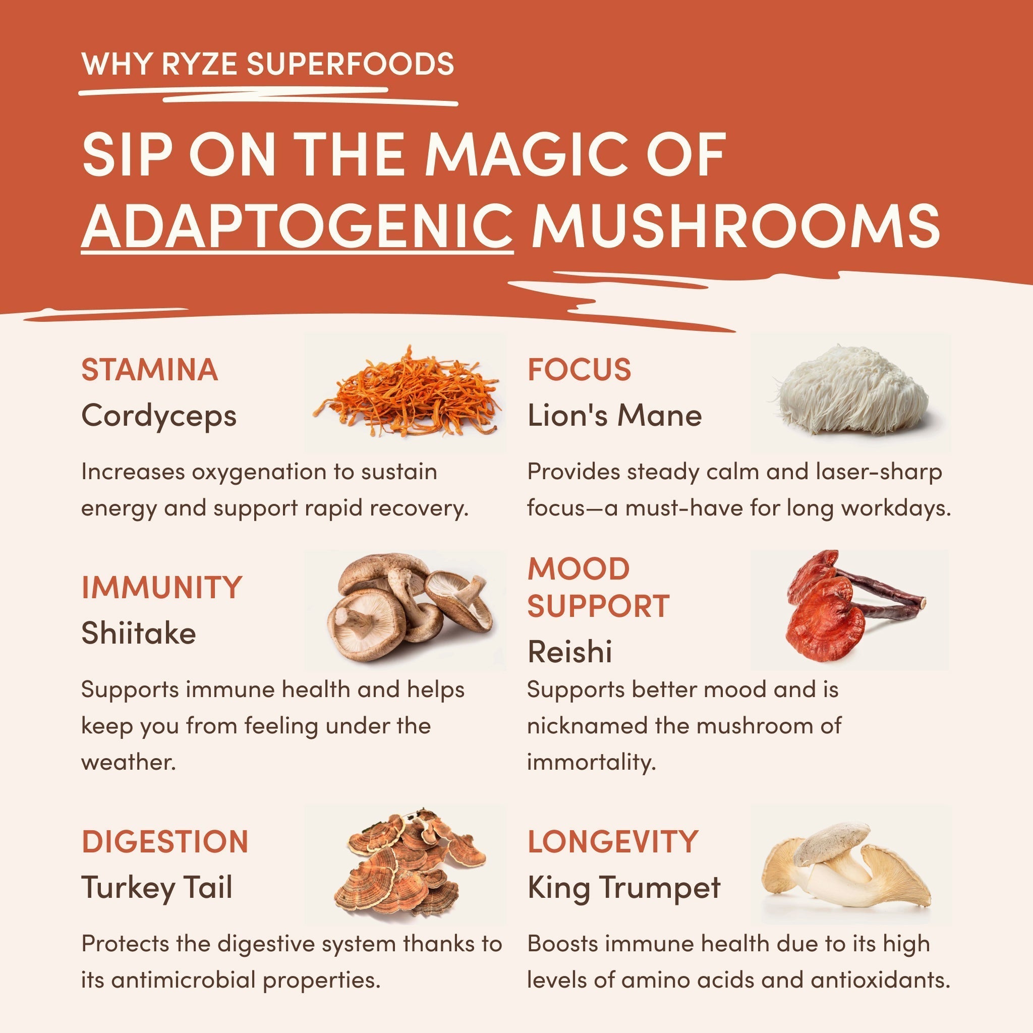 Caramel Creamer 3-Pack P9