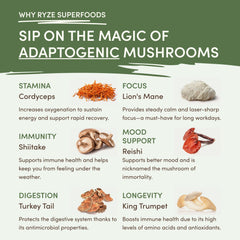RYZE Mushroom Matcha — Organic Instant Matcha Latte with Lion's Mane & King Trumpet, 30 Servings A3