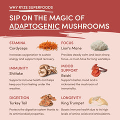 Mushroom Chai (20 Servings) Z6
