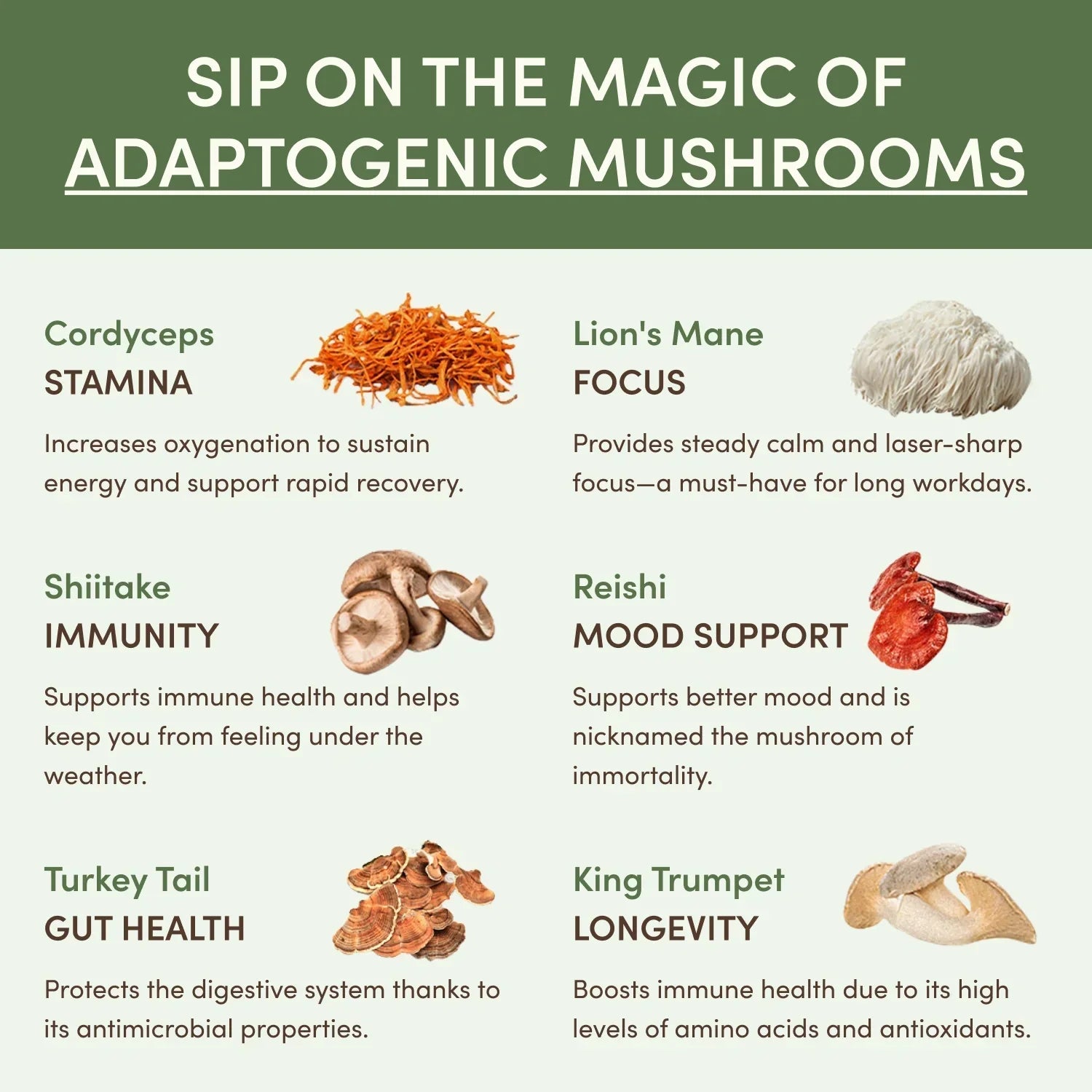 Mushroom Matcha (30 Servings) F9