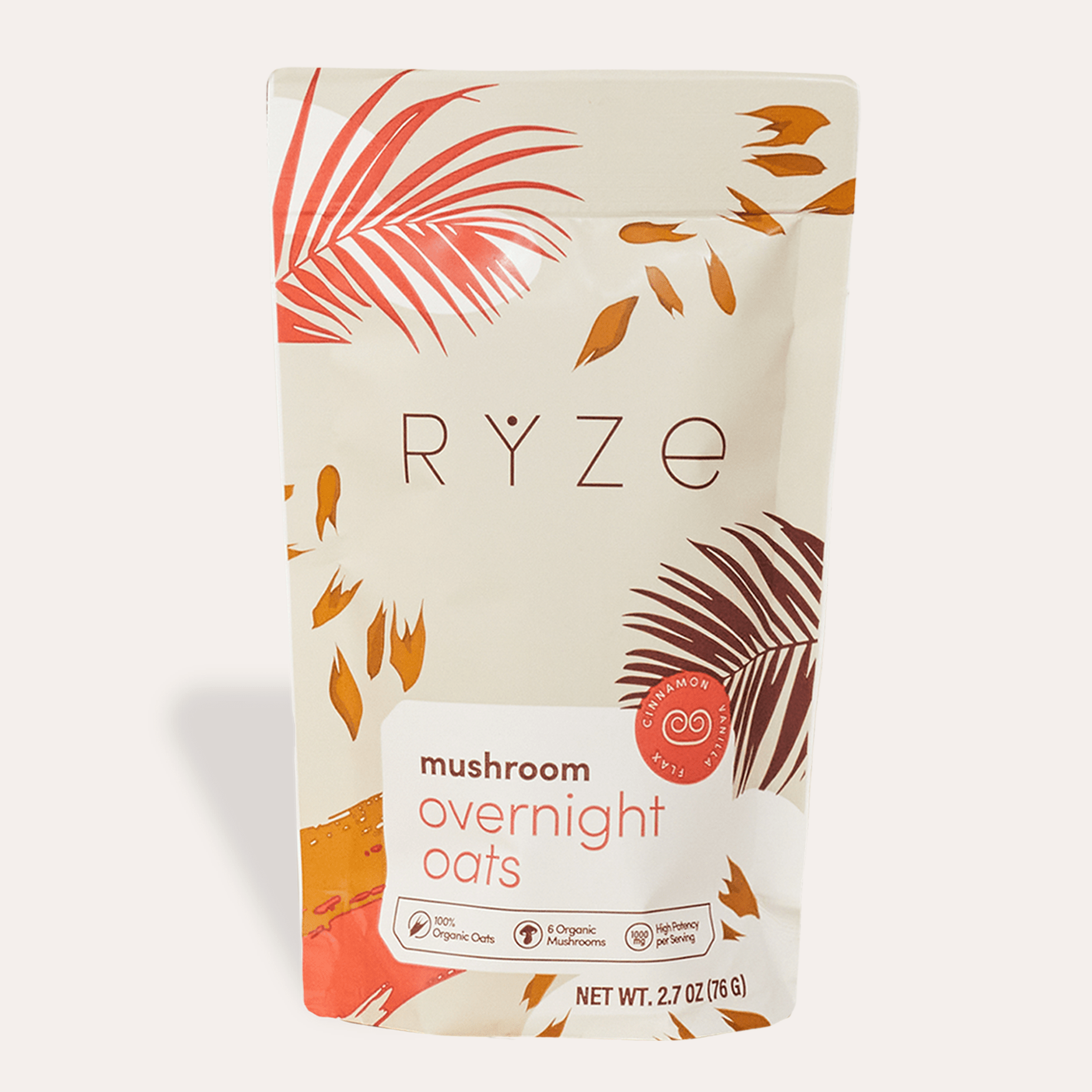 Mushroom Overnight Oats Pack (14 Servings) B8