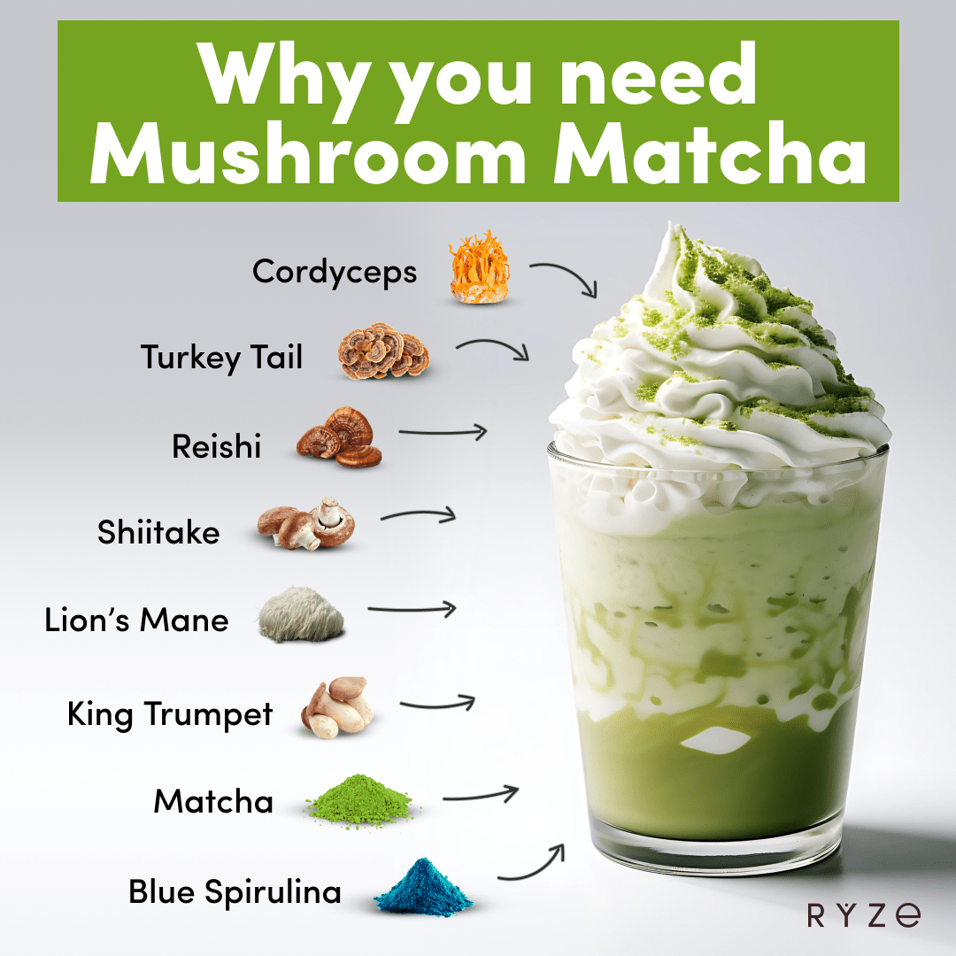 RYZE Mushroom Matcha - with 6 Organic Adaptogenic Mushrooms Grown In USA and Ceremonial-Grade Japanese Matcha P6
