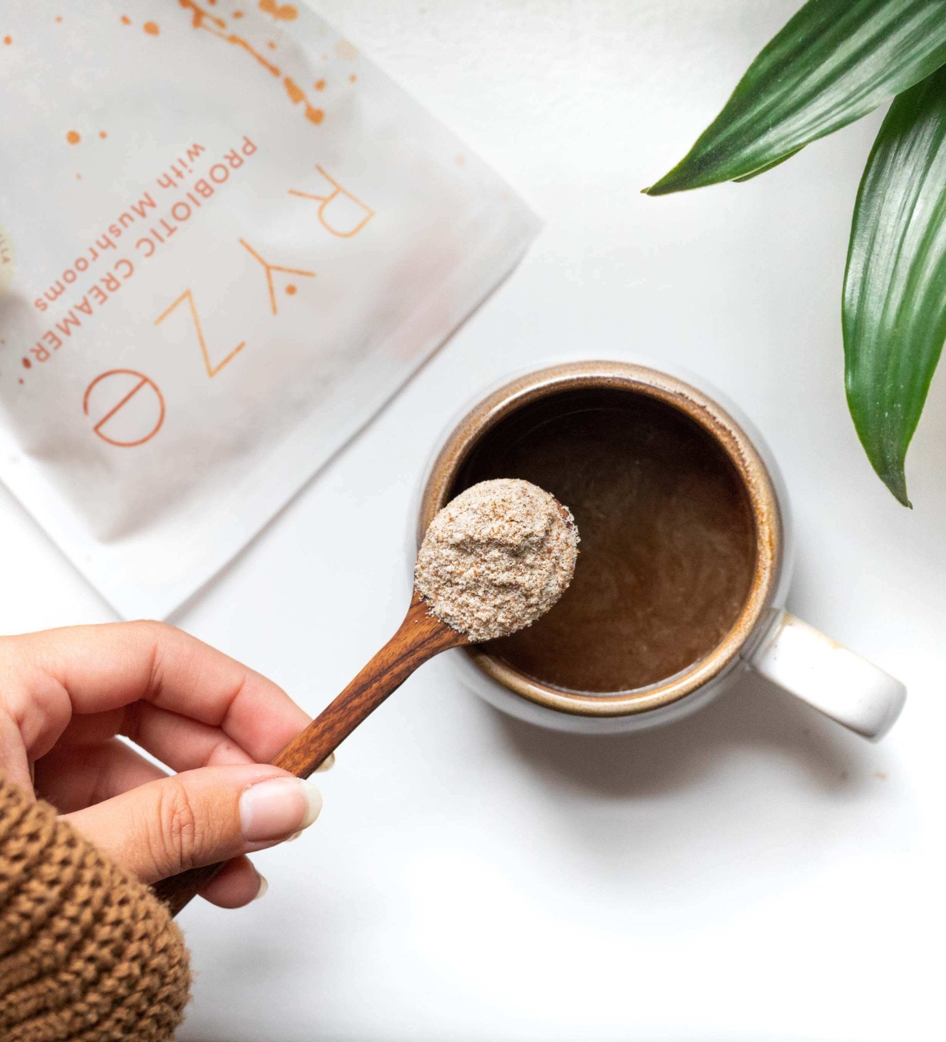Try our Probiotic Creamer for 50% OFF! S8